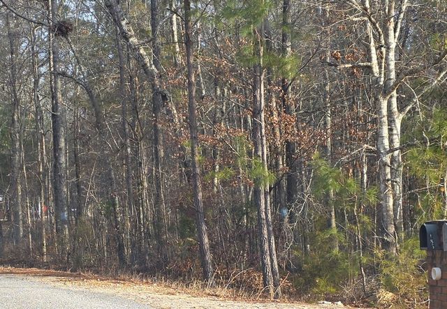 0 Lee Road 0143, Salem, AL 36874