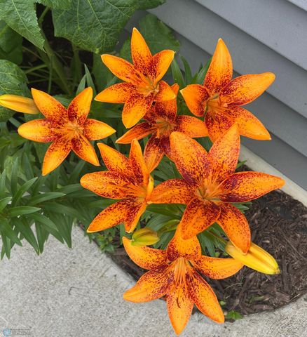 12615 S Abbey Lake Lane, Detroit Lakes, MN 56501