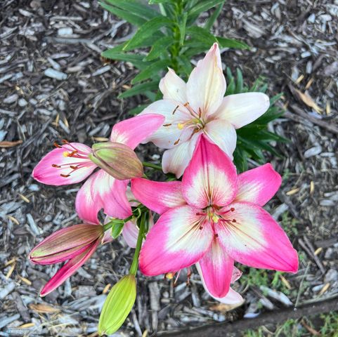 12615 S Abbey Lake Lane, Detroit Lakes, MN 56501