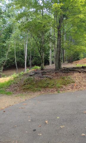 0 Radiant Cove, Brasstown, NC 28902