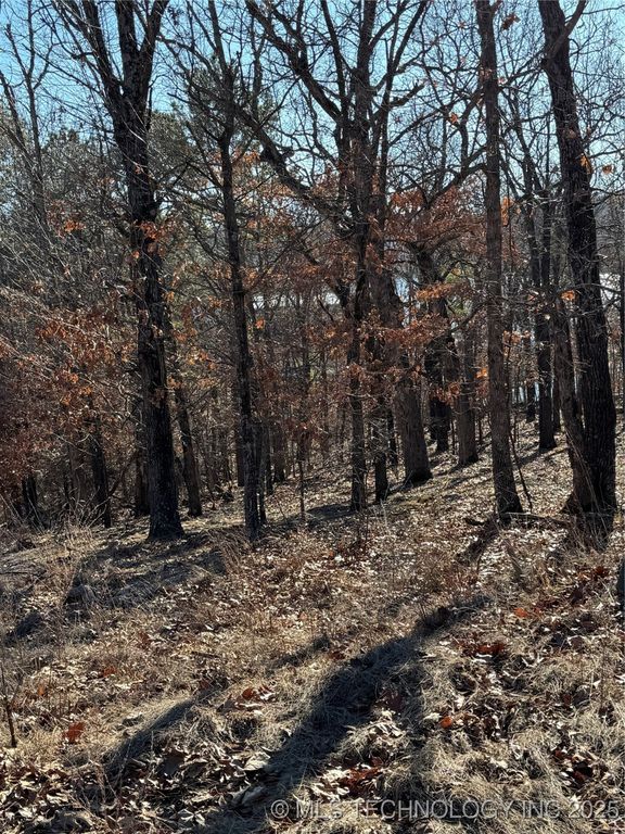 53536 E 344 Court, Jay, OK 74346