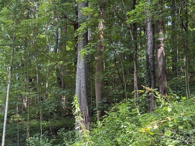 Lot 33-A Sara Ridge Road, Waynesville, NC 28786