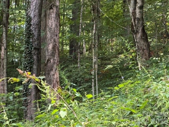 Lot 33-A Sara Ridge Road, Waynesville, NC 28786