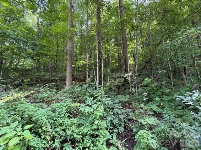 Lot 33-A Sara Ridge Road, Waynesville, NC 28786