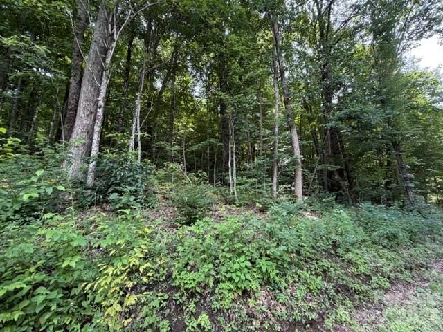 Lot 33-A Sara Ridge Road, Waynesville, NC 28786