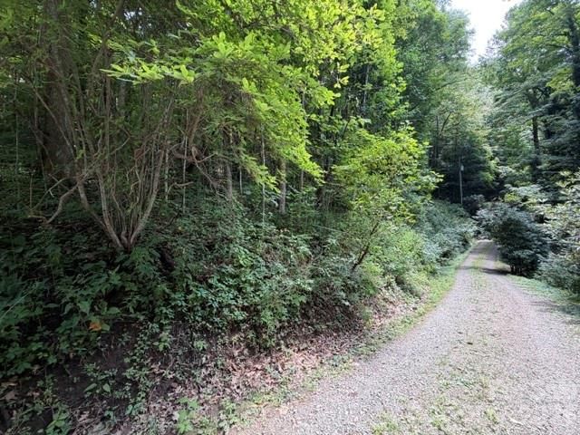 Lot 33-A Sara Ridge Road, Waynesville, NC 28786