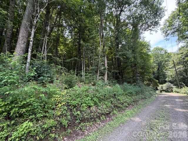 Lot 33-A Sara Ridge Road, Waynesville, NC 28786