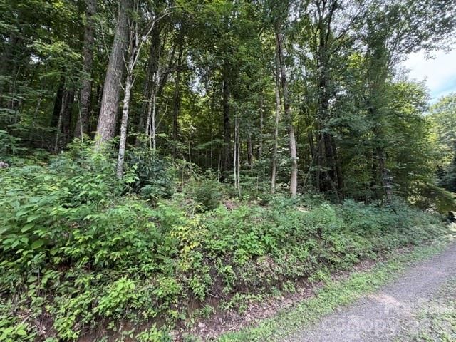 Lot 33-A Sara Ridge Road, Waynesville, NC 28786