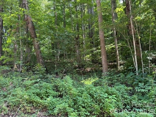 Lot 33-A Sara Ridge Road, Waynesville, NC 28786