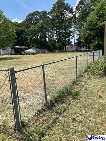 1803 SUN VALLEY CT, Marion, SC 29671