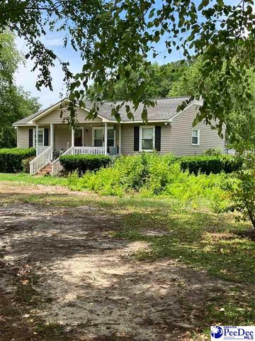 1803 SUN VALLEY CT, Marion, SC 29671