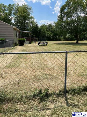 1803 SUN VALLEY CT, Marion, SC 29671