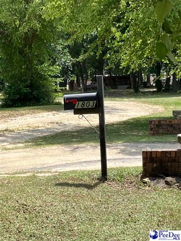1803 SUN VALLEY CT, Marion, SC 29671