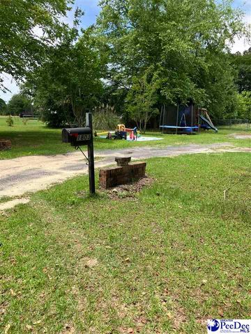 1803 SUN VALLEY CT, Marion, SC 29671