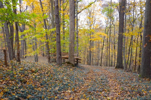 2060 Luther Herald Rd, Franklin, KY 42134