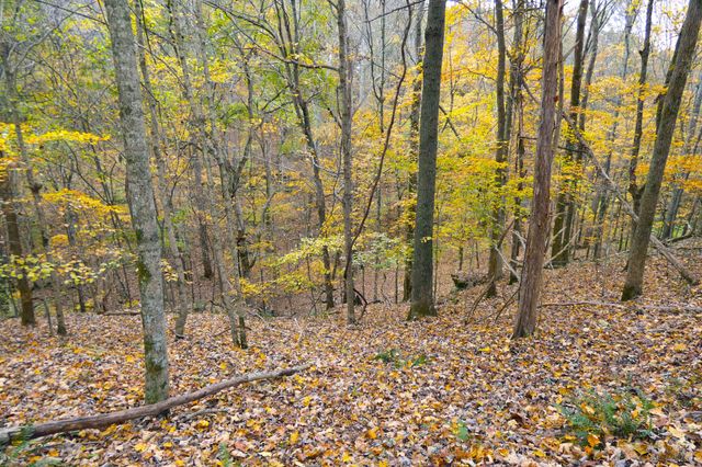 2060 Luther Herald Rd, Franklin, KY 42134