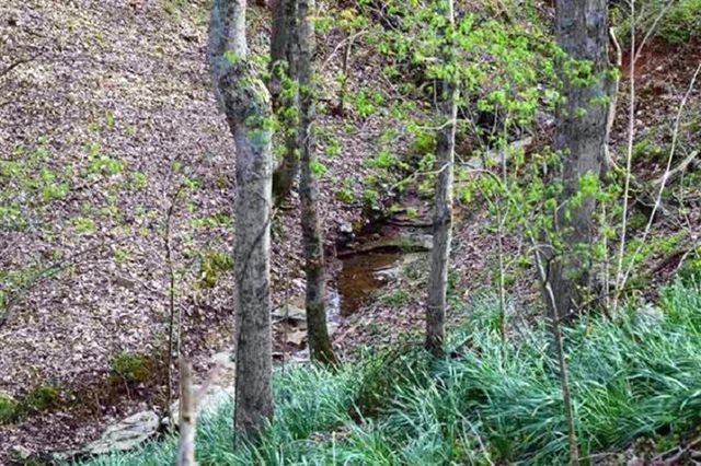 2060 Luther Herald Rd, Franklin, KY 42134