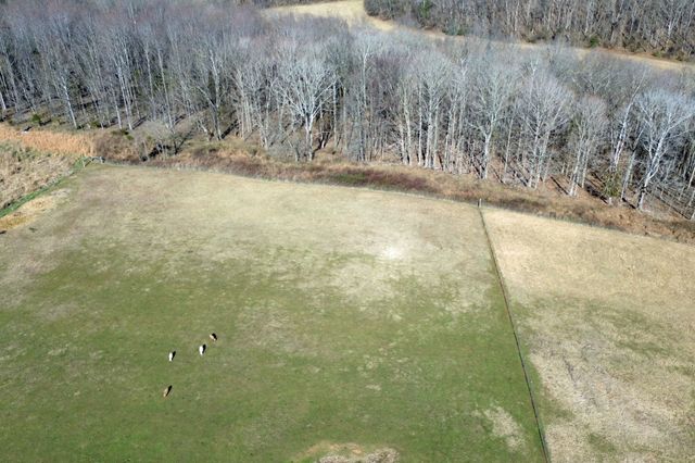 2060 Luther Herald Rd, Franklin, KY 42134