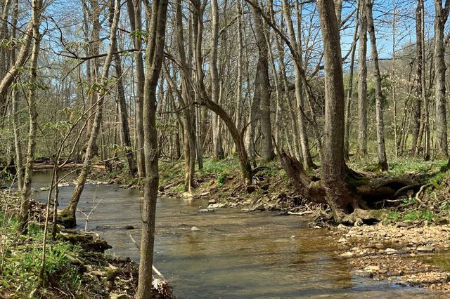 2060 Luther Herald Rd, Franklin, KY 42134