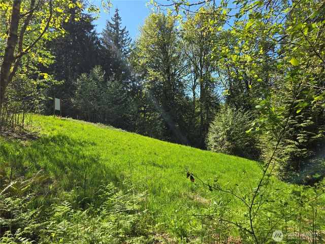 286 XX NE 156th Street, Duvall, WA 98019