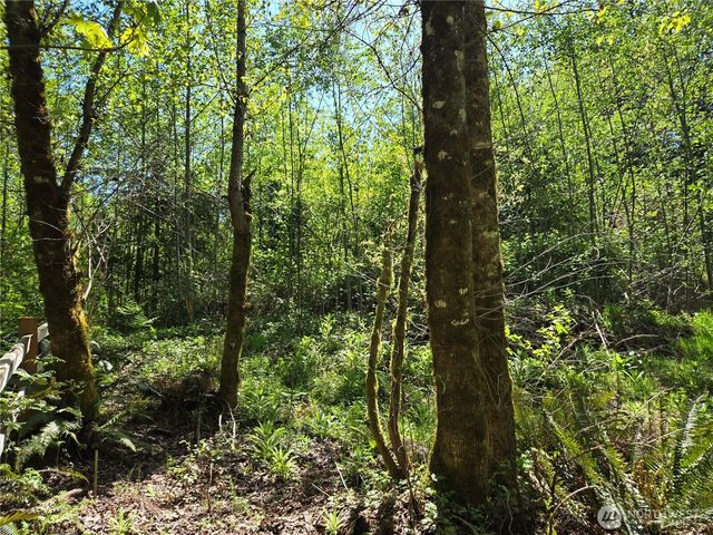 286 XX NE 156th Street, Duvall, WA 98019