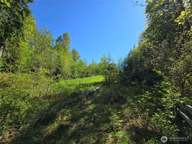 286 XX NE 156th Street, Duvall, WA 98019