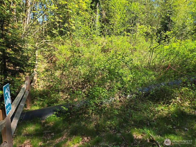 286 XX NE 156th Street, Duvall, WA 98019