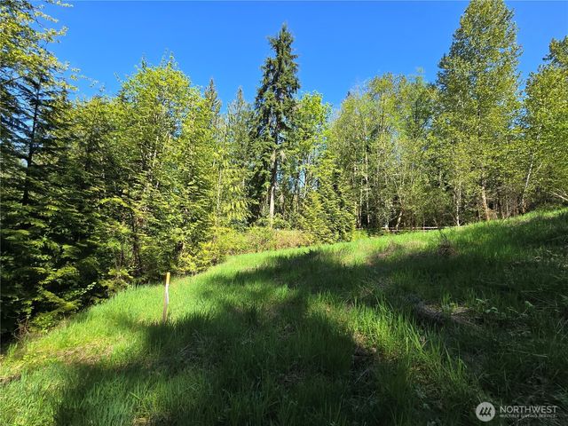 286 XX NE 156th Street, Duvall, WA 98019