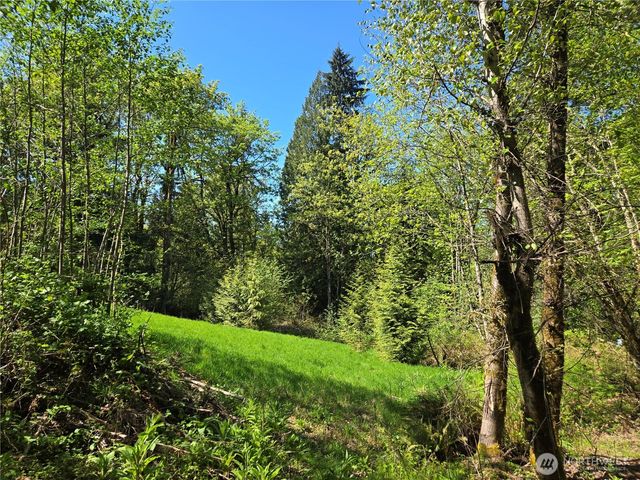 286 XX NE 156th Street, Duvall, WA 98019