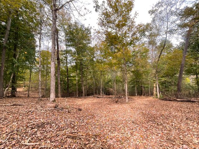 5 Highway 149, Cumberland City, TN 37050