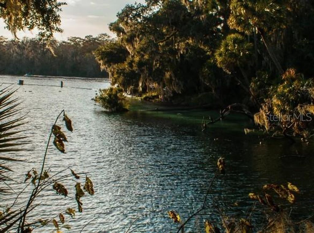 Image 20 of property listing at 1465 TRINIDAD STREET, Deland, FL 32720