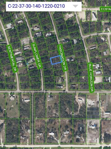 108 FASCINATION DRIVE, Lake Placid, FL 33852