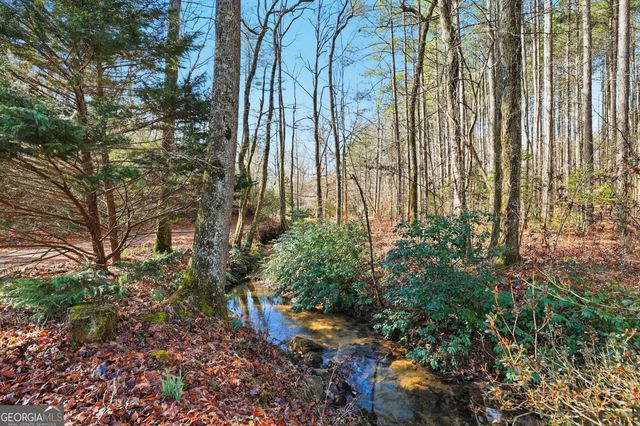 416 Liberty Creek Drive, Clarkesville, GA 30523