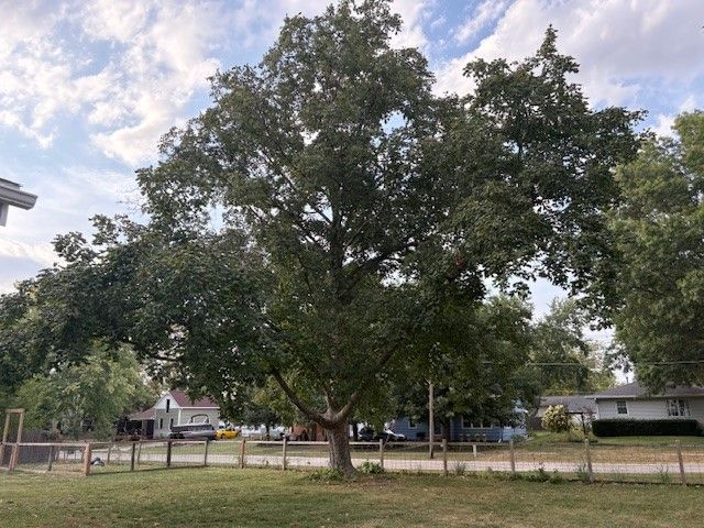 206 N Monroe Street, Prairie City, IA 50228