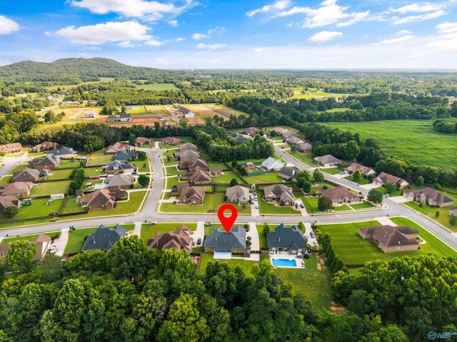 104 Twin Springs Drive, Harvest, AL 35749