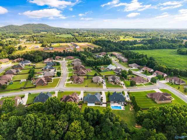 104 Twin Springs Drive, Harvest, AL 35749