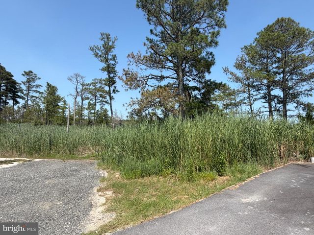 28231 CANNON DR, Millsboro, DE 19966