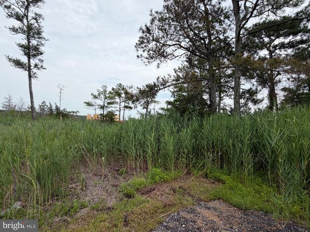 28231 CANNON DR, Millsboro, DE 19966