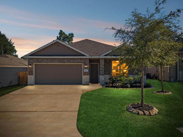 802 Lovebug Lane, Conroe, TX 77301