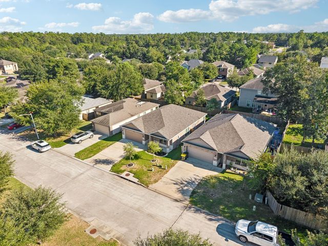 802 Lovebug Lane, Conroe, TX 77301