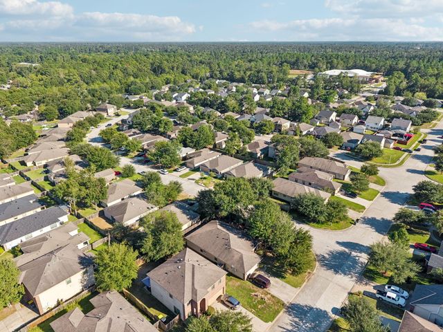 802 Lovebug Lane, Conroe, TX 77301