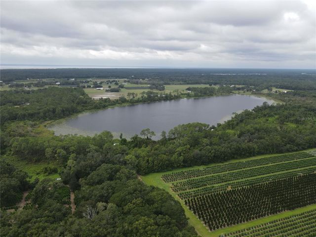 TURKEY SHOOT ROAD, Pierson, FL 32180