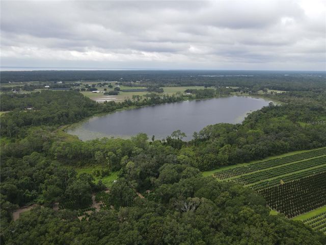 TURKEY SHOOT ROAD, Pierson, FL 32180