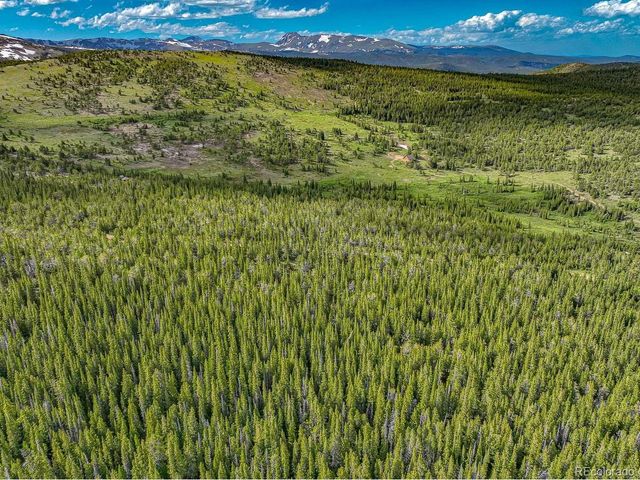 123 Mosquito Creek Rd, Black Hawk, CO 80422