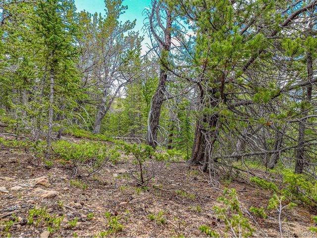 123 Mosquito Creek Rd, Black Hawk, CO 80422