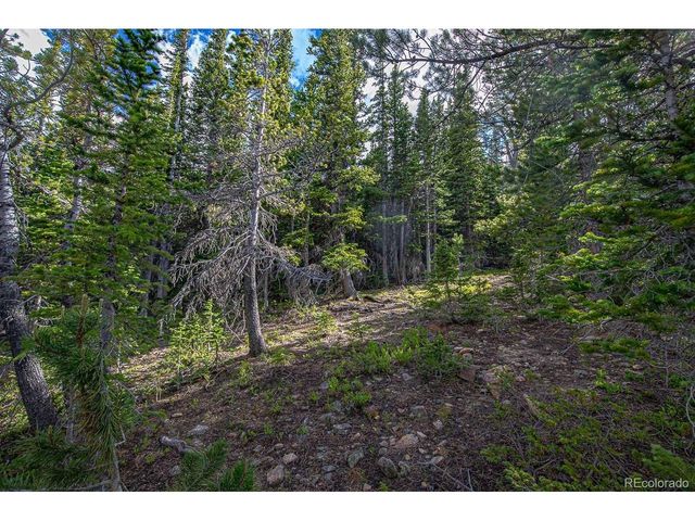 123 Mosquito Creek Rd, Black Hawk, CO 80422