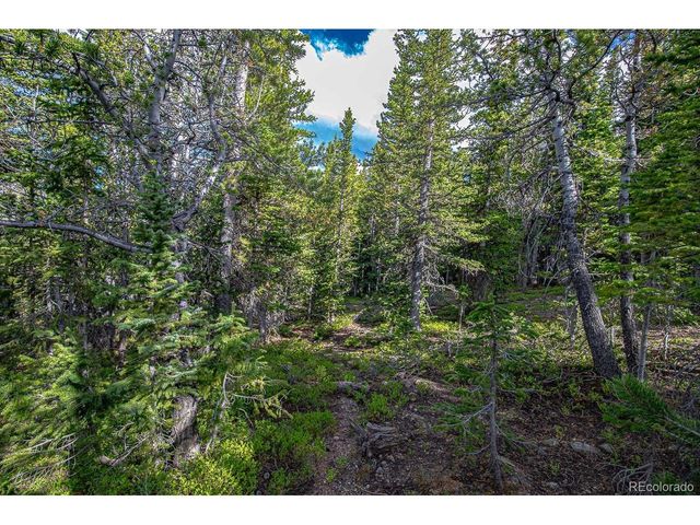 123 Mosquito Creek Rd, Black Hawk, CO 80422