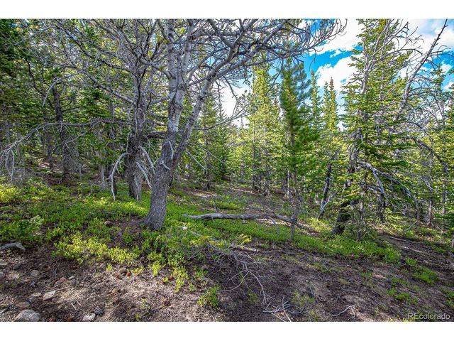 123 Mosquito Creek Rd, Black Hawk, CO 80422