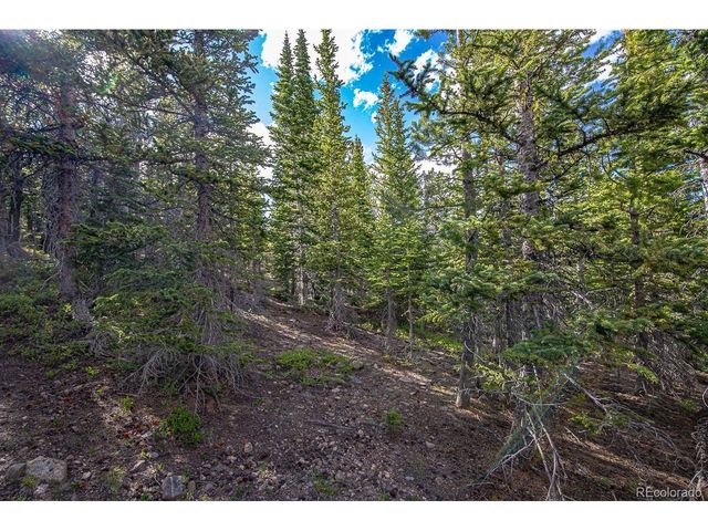 123 Mosquito Creek Rd, Black Hawk, CO 80422