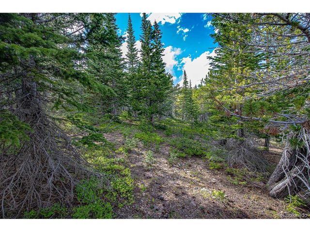 123 Mosquito Creek Rd, Black Hawk, CO 80422